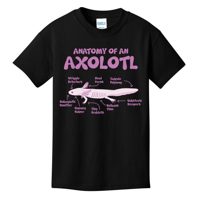 Anatomy Of An Axolotl Axolotls Funny Biology Diagram Science  Kids T-Shirt