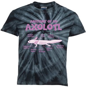 Anatomy Of An Axolotl Axolotls Funny Biology Diagram Science  Kids Tie-Dye T-Shirt