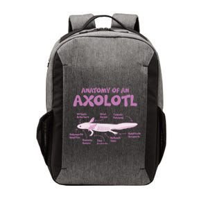 Anatomy Of An Axolotl Axolotls Funny Biology Diagram Science  Vector Backpack