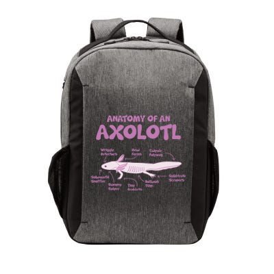 Anatomy Of An Axolotl Axolotls Funny Biology Diagram Science  Vector Backpack