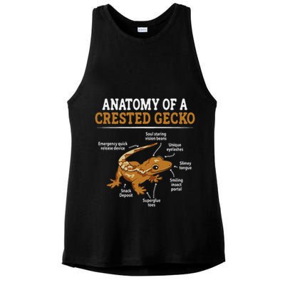 Anatomy Of A Crested Gecko, Eyelash Lizard Herpetologist Ladies PosiCharge Tri-Blend Wicking Tank