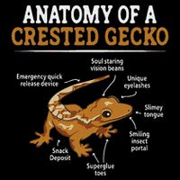 Anatomy Of A Crested Gecko, Eyelash Lizard Herpetologist T-Shirt