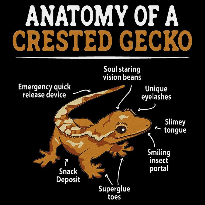 Anatomy Of A Crested Gecko, Eyelash Lizard Herpetologist T-Shirt