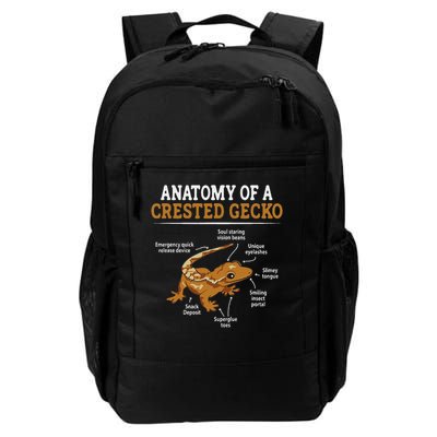 Anatomy Of A Crested Gecko, Eyelash Lizard Herpetologist Backpack