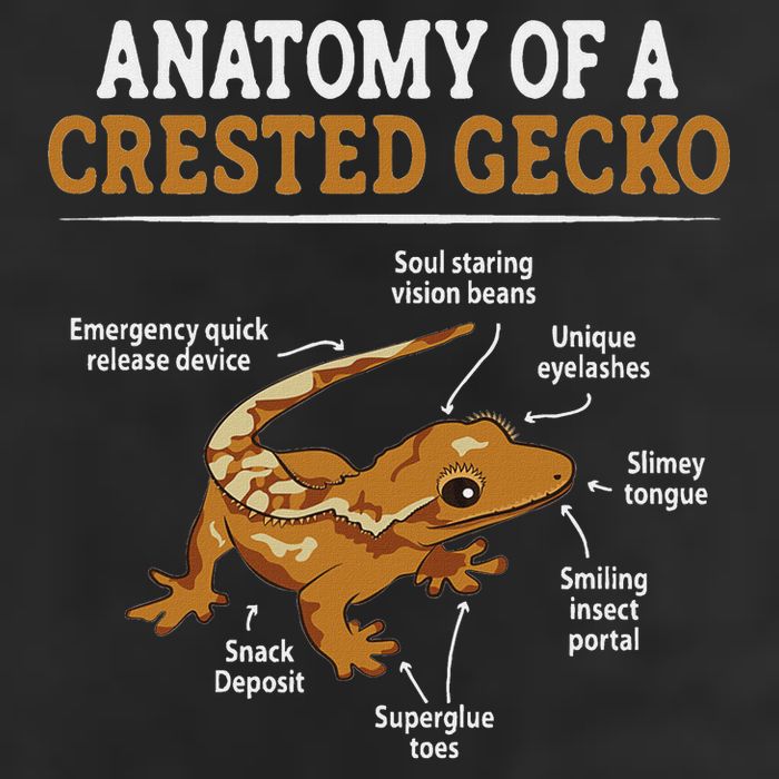Anatomy Of A Crested Gecko, Eyelash Lizard Herpetologist Adult Drive Performance Visor