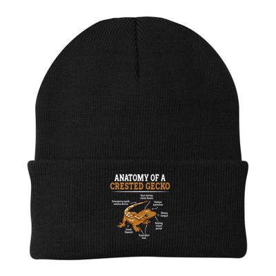 Anatomy Of A Crested Gecko, Eyelash Lizard Herpetologist Beanie
