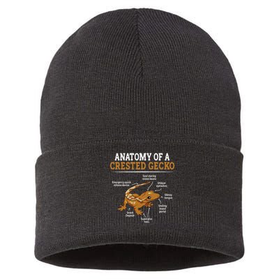 Anatomy Of A Crested Gecko, Eyelash Lizard Herpetologist Sustainable Knit Beanie