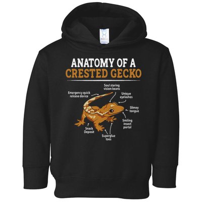Anatomy Of A Crested Gecko, Eyelash Lizard Herpetologist Toddler Hoodie