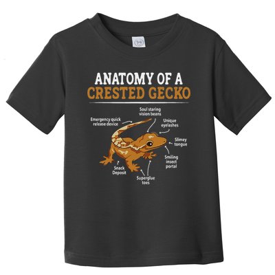 Anatomy Of A Crested Gecko, Eyelash Lizard Herpetologist Toddler T-Shirt