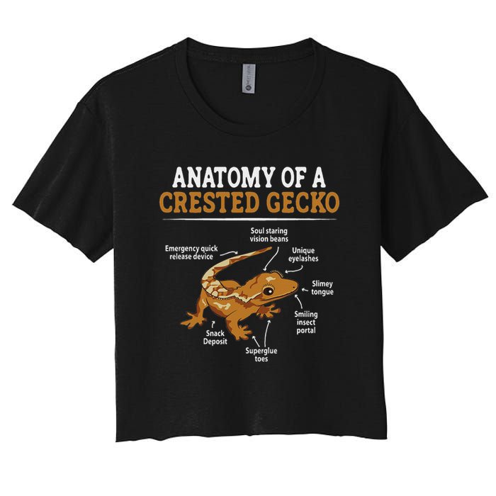 Anatomy Of A Crested Gecko, Eyelash Lizard Herpetologist Women's Crop Top Tee