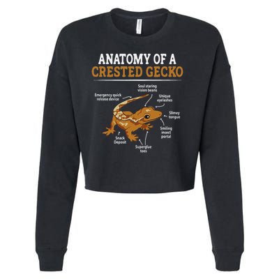 Anatomy Of A Crested Gecko, Eyelash Lizard Herpetologist Cropped Pullover Crew