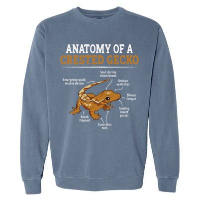 Anatomy Of A Crested Gecko, Eyelash Lizard Herpetologist Garment-Dyed Sweatshirt