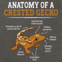 Anatomy Of A Crested Gecko, Eyelash Lizard Herpetologist Cotton Canvas Backpack