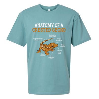 Anatomy Of A Crested Gecko, Eyelash Lizard Herpetologist Sueded Cloud Jersey T-Shirt
