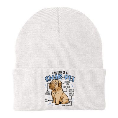 Anatomy Of A Sharpei Dog Knit Cap Winter Beanie