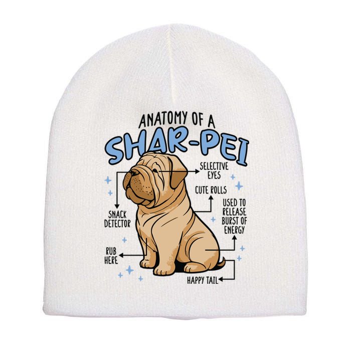 Anatomy Of A Sharpei Dog Short Acrylic Beanie