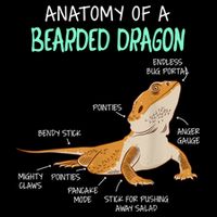 Anatomy Of A Bearded Dragon Bearded Dragon Lizard Pogona Reptile Cooling Performance Crew T-Shirt
