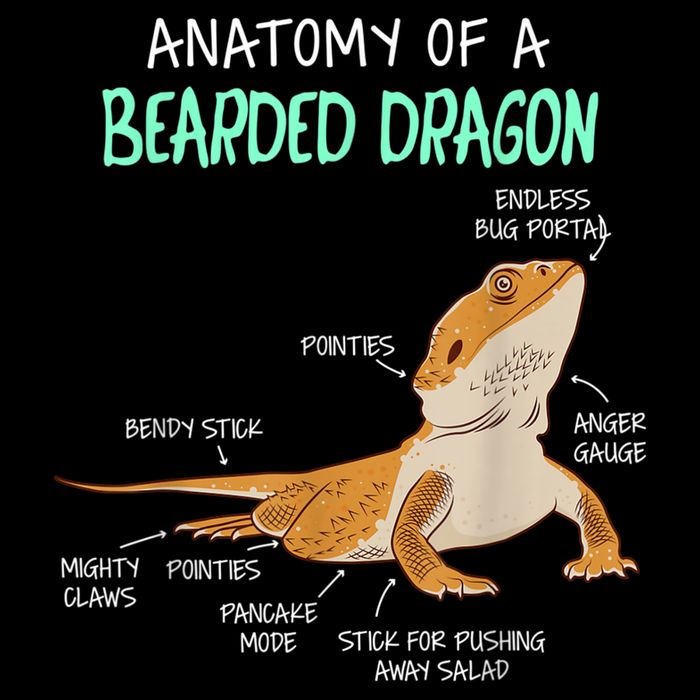 Anatomy Of A Bearded Dragon Bearded Dragon Lizard Pogona Reptile Cooling Performance Crew T-Shirt