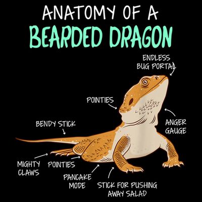 Anatomy Of A Bearded Dragon Bearded Dragon Lizard Pogona Reptile T-Shirt