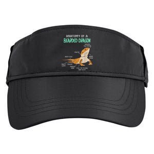 Anatomy Of A Bearded Dragon Bearded Dragon Lizard Pogona Reptile Adult Drive Performance Visor