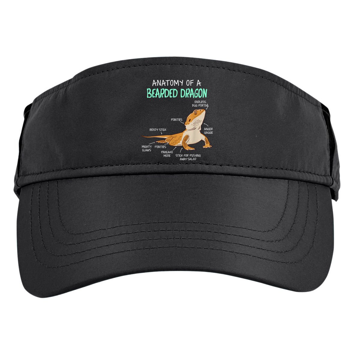 Anatomy Of A Bearded Dragon Bearded Dragon Lizard Pogona Reptile Adult Drive Performance Visor