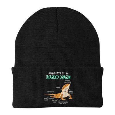 Anatomy Of A Bearded Dragon Bearded Dragon Lizard Pogona Reptile Beanie