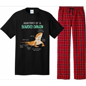 Anatomy Of A Bearded Dragon Bearded Dragon Lizard Pogona Reptile Pajama Set