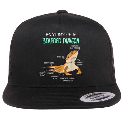 Anatomy Of A Bearded Dragon Bearded Dragon Lizard Pogona Reptile Flatbill Hat