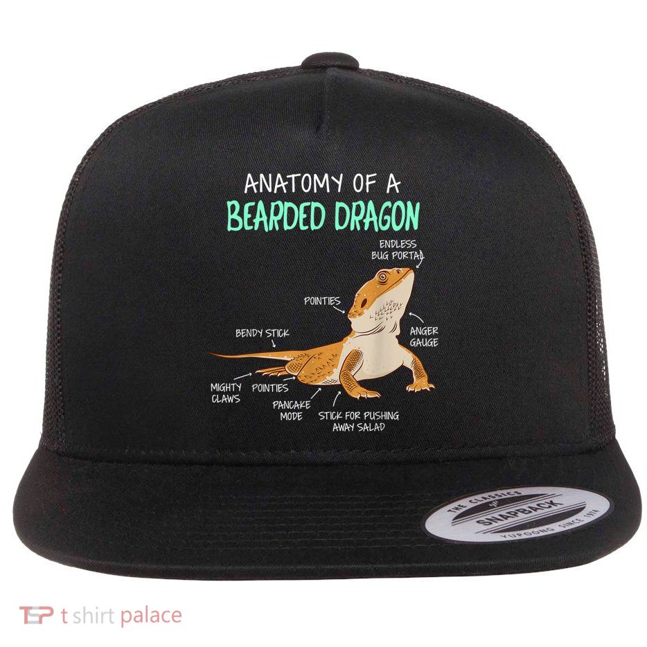 Anatomy Of A Bearded Dragon Bearded Dragon Lizard Pogona Reptile Flatbill Hat