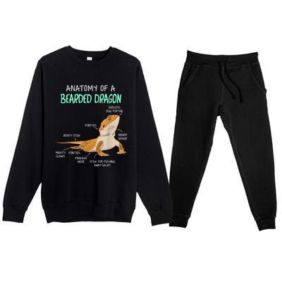 Anatomy Of A Bearded Dragon Bearded Dragon Lizard Pogona Reptile Premium Crewneck Sweatsuit Set