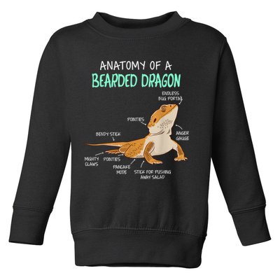 Anatomy Of A Bearded Dragon Bearded Dragon Lizard Pogona Reptile Toddler Sweatshirt