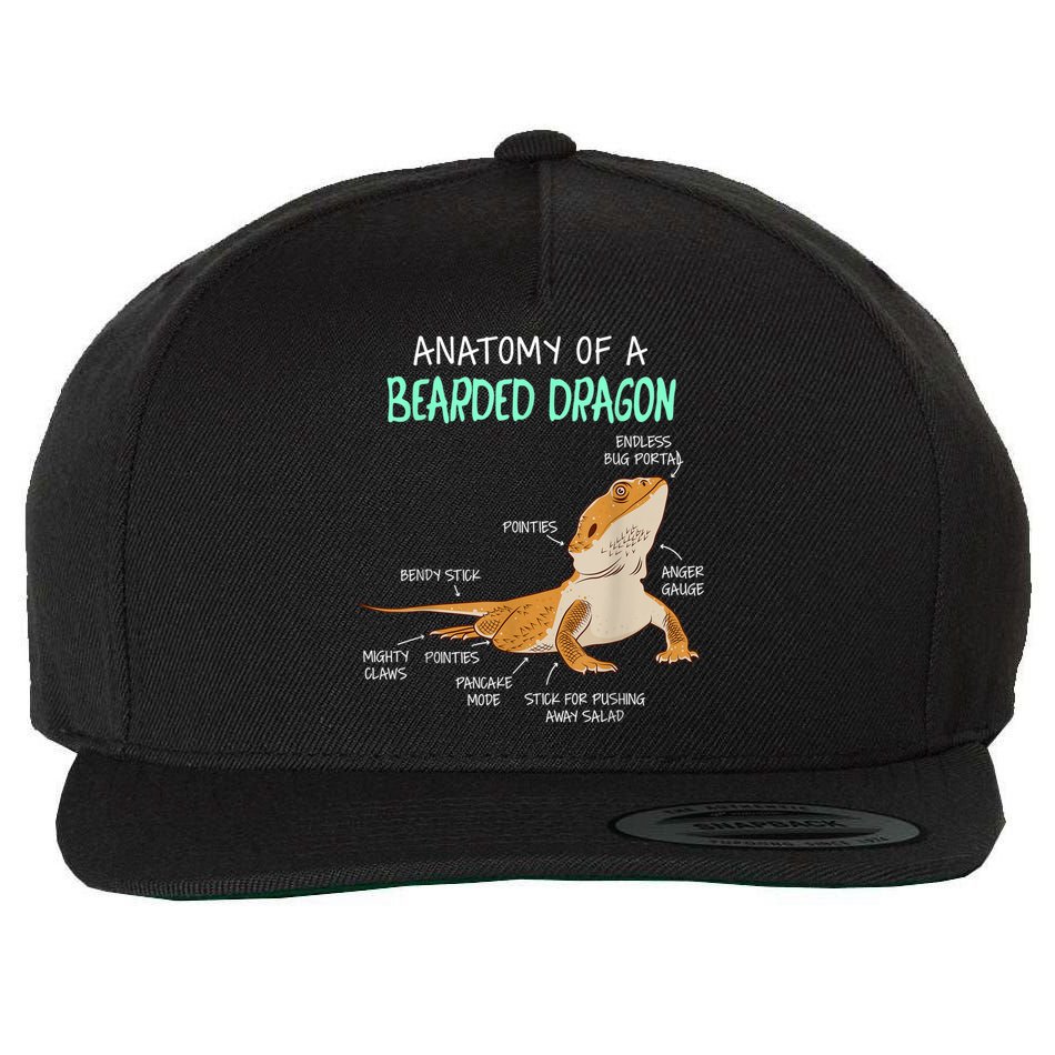 Anatomy Of A Bearded Dragon Bearded Dragon Lizard Pogona Reptile Wool Snapback Cap