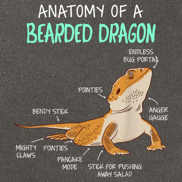 Anatomy Of A Bearded Dragon Bearded Dragon Lizard Pogona Reptile Cotton Canvas Backpack