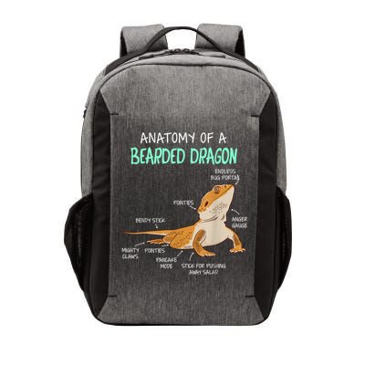 Anatomy Of A Bearded Dragon Bearded Dragon Lizard Pogona Reptile Vector Backpack