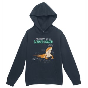 Anatomy Of A Bearded Dragon Bearded Dragon Lizard Pogona Reptile Urban Pullover Hoodie