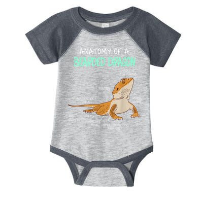 Anatomy Of A Bearded Dragon Bearded Dragon Lizard Pogona Reptile Infant Baby Jersey Bodysuit