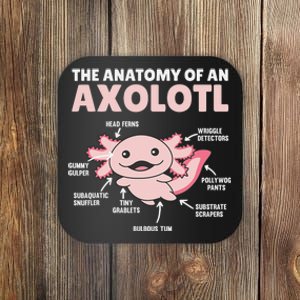 Anatomy Of an Axolotl Sweet Axolotl Explanation  Coaster