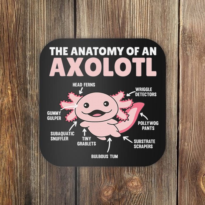 Anatomy Of an Axolotl Sweet Axolotl Explanation  Coaster