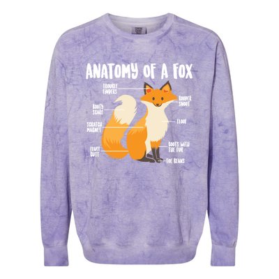 Anatomy Of A Fox Cute Sweet Carnivore Funny Animal Gift Colorblast Crewneck Sweatshirt