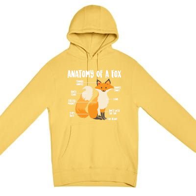 Anatomy Of A Fox Cute Sweet Carnivore Funny Animal Gift Premium Pullover Hoodie