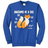 Anatomy Of A Fox Cute Sweet Carnivore Funny Animal Gift Sweatshirt