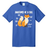 Anatomy Of A Fox Cute Sweet Carnivore Funny Animal Gift Tall T-Shirt