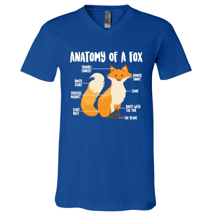 Anatomy Of A Fox Cute Sweet Carnivore Funny Animal Gift V-Neck T-Shirt