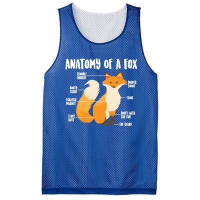 Anatomy Of A Fox Cute Sweet Carnivore Funny Animal Gift Mesh Reversible Basketball Jersey Tank