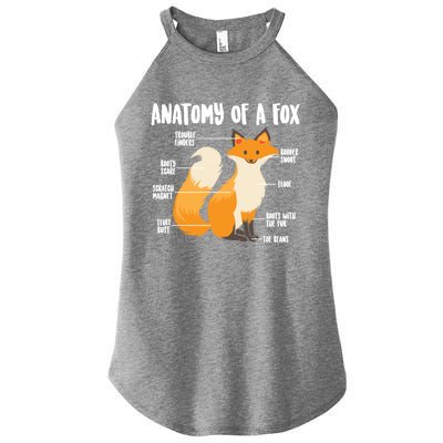 Anatomy Of A Fox Cute Sweet Carnivore Funny Animal Gift Women’s Perfect Tri Rocker Tank