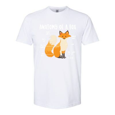 Anatomy Of A Fox Cute Sweet Carnivore Funny Animal Gift Softstyle CVC T-Shirt