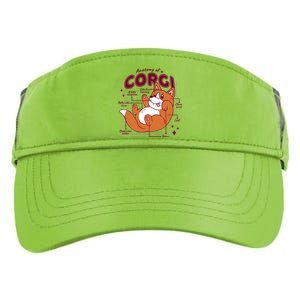 Anatomy Of A Corgi Dog Adult Drive Performance Visor