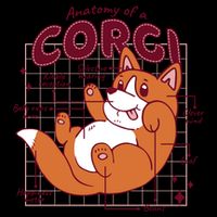 Anatomy Of A Corgi Dog Womens Tank Top