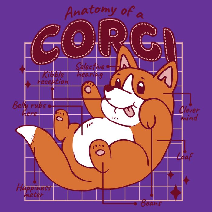 Anatomy Of A Corgi Dog Button