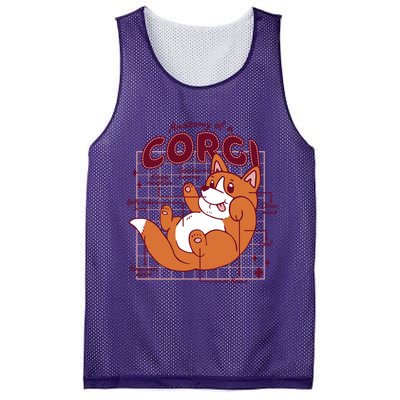 Anatomy Of A Corgi Dog Mesh Reversible Basketball Jersey Tank